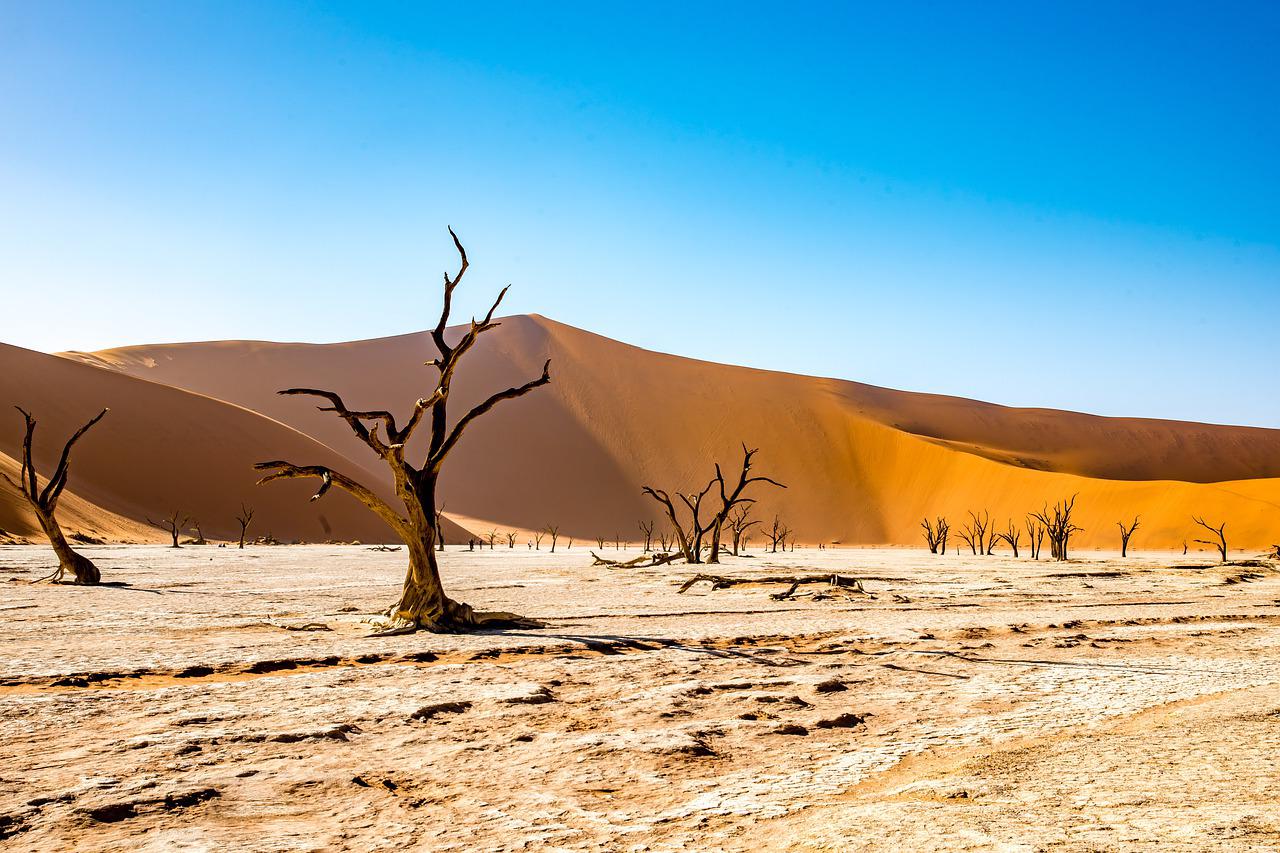 Desertificación