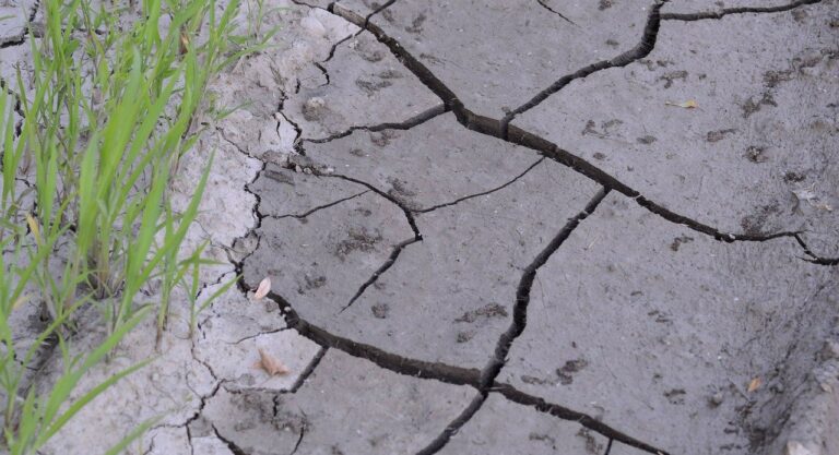 Sequía en México: ¿En qué estados hay crisis por el agua?