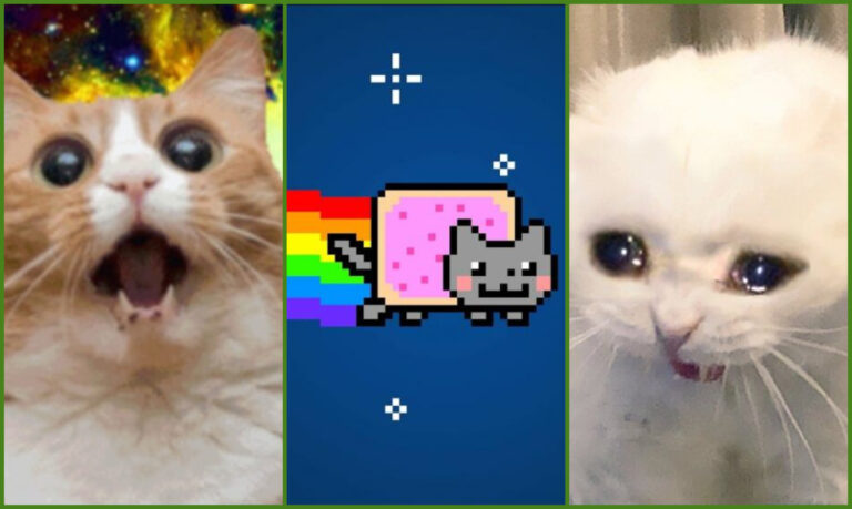 Día Internacional del Gato: Así se volvió el meme más famoso de internet