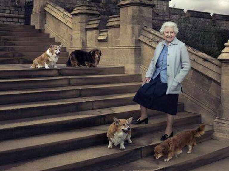 ¿Qué pasará con los Corgis de la Reina Isabel II?