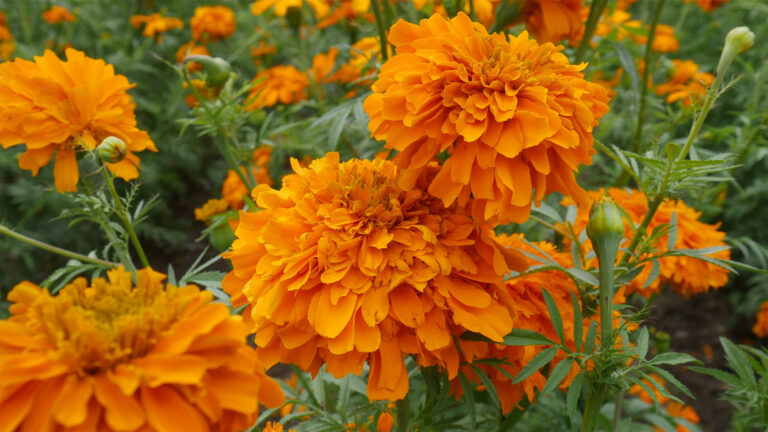 ¿Una solución para la crisis de agua en México?