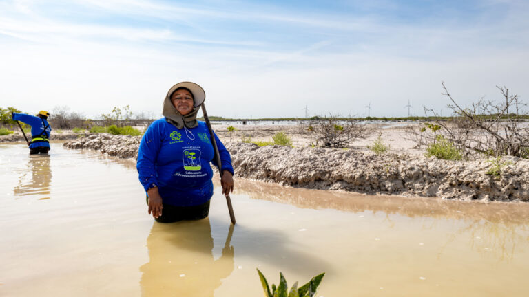 Chelemeras reciben reconocimiento internacional