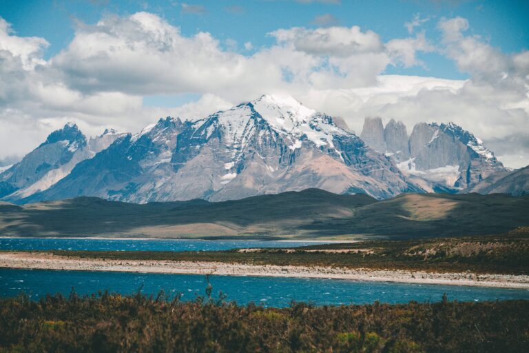 Rewilding Argentina restaura tierras y las dona al Estado