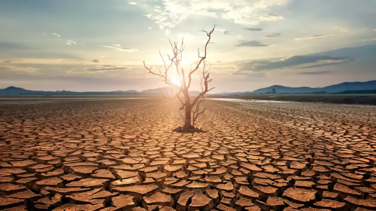 Temperaturas globales aumentarán en los próximos 5 años