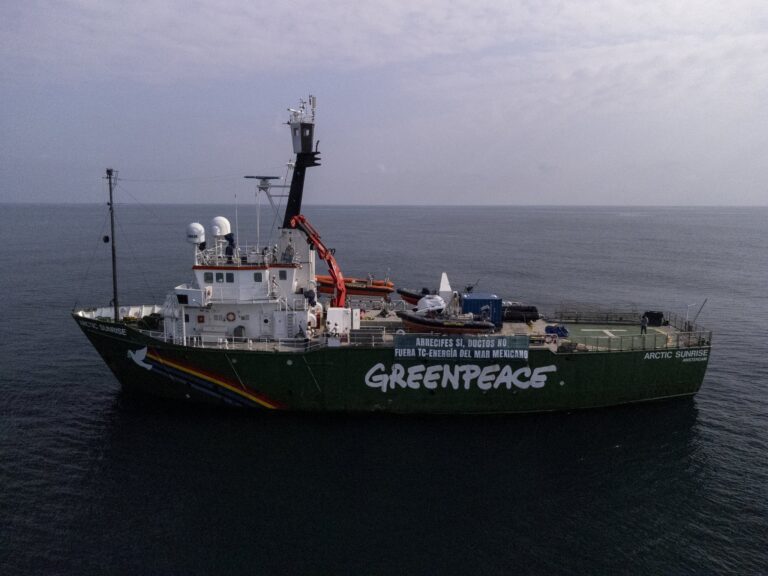 Greenpeace demandó protección de arrecifes en Veracruz