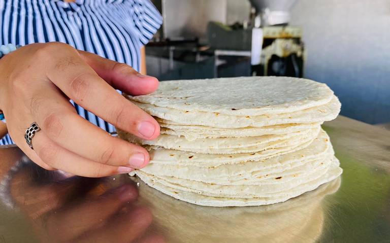 Tortillerías del país dejarán de usar maíz transgénico: AMLO