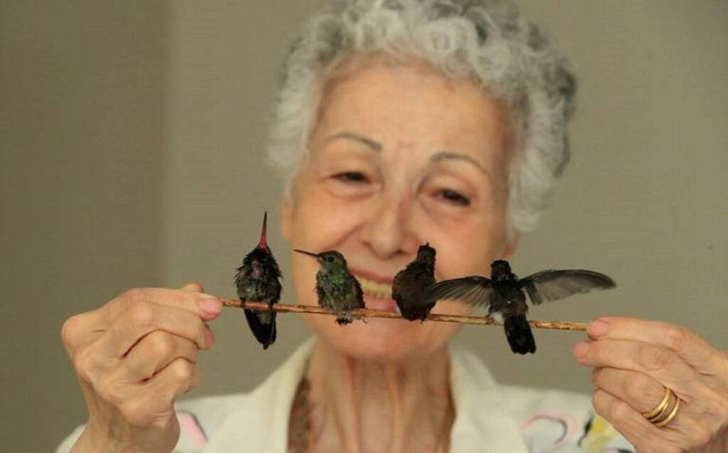 Catia Lattouf crea santuario en México para los colibríes