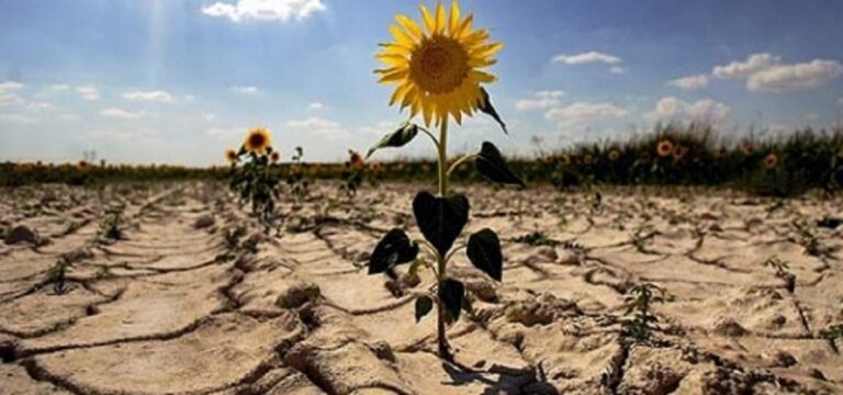 Costos por cambio climático podrían alcanzar el 6.9% del PIB