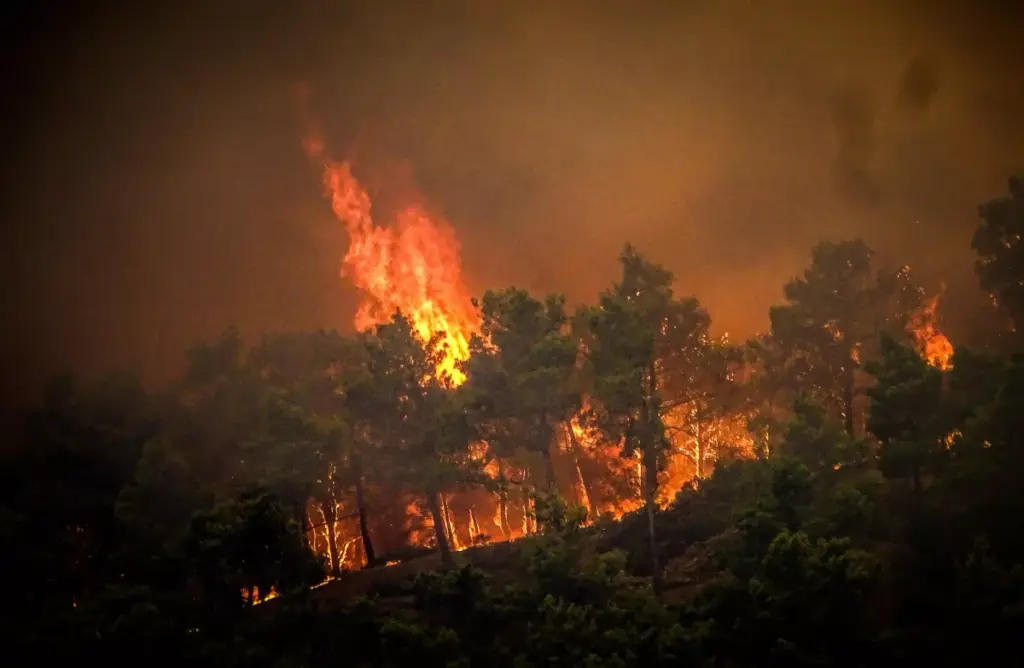 Incendios azotan a países como Grecia, Italia y Argelia