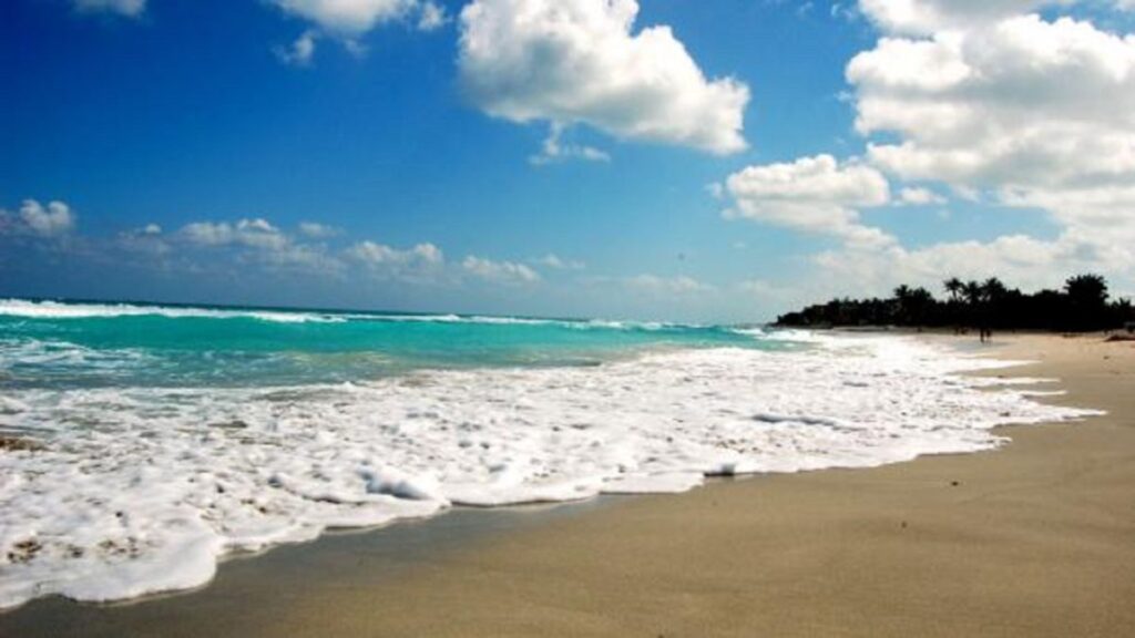 Suena alarma por temperaturas récord de la superficie del mar: NOAA