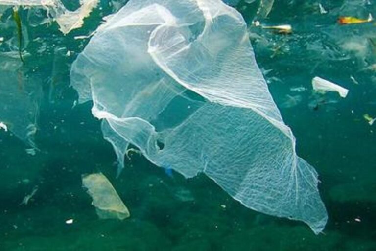 Prevén que en 2030 habrá más plástico que peces en el mar