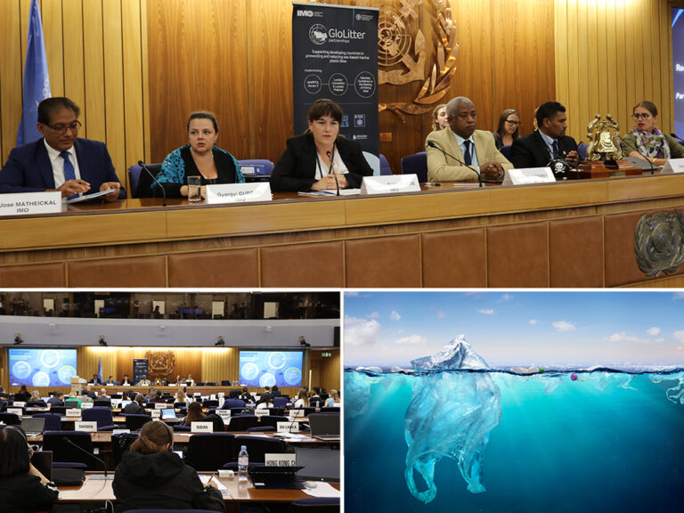 Organismos buscan hacer frente a la basura plástica marina