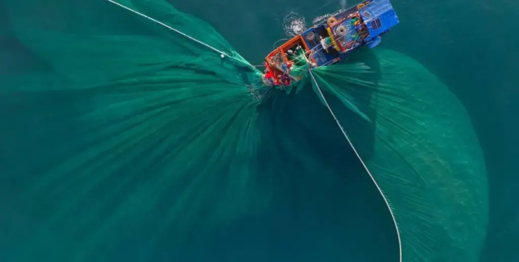 Desarrollan robot MARLIN para combatir pesca ilegal