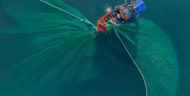 Desarrollan robot MARLIN para combatir pesca ilegal