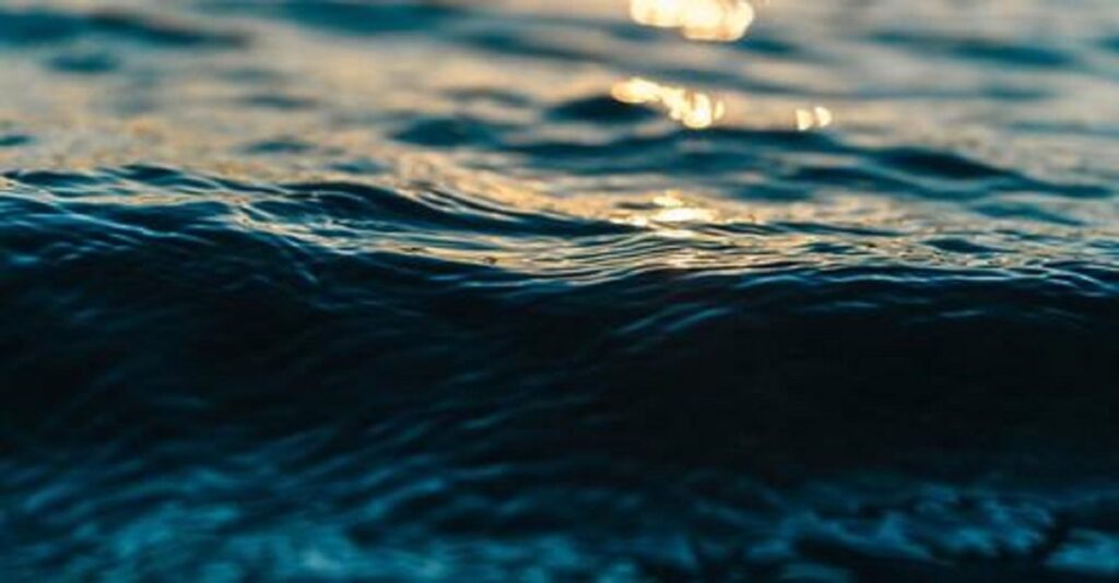 Punto Nemo, o “zona deshabitada del Pacífico Sur”