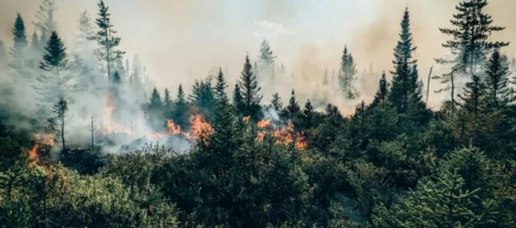 Récord de "incendios" en Canadá se debe a cambio climático
