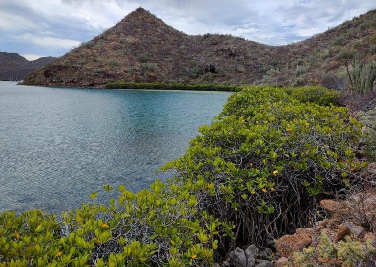 Semarnat anuncia el decreto de 13 nuevas Áreas Naturales Protegidas