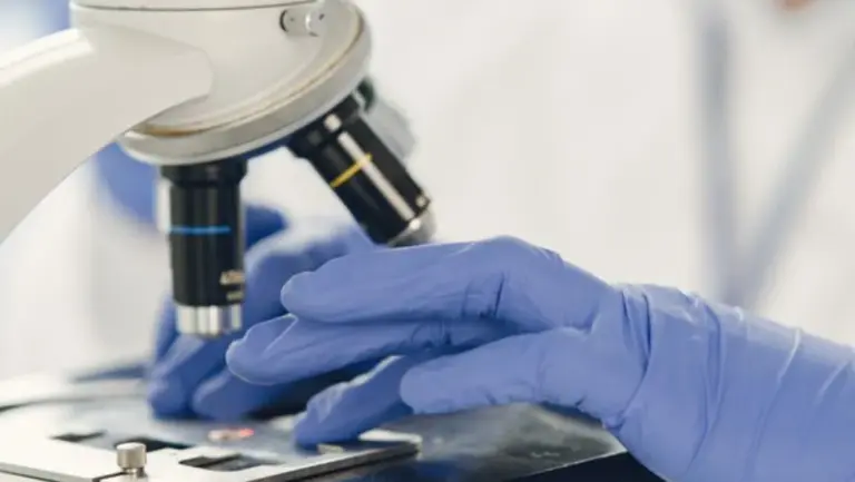 Resistencias a los antibióticos está ligado a la contaminación