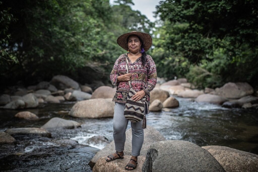 Matan en México a 31 defensores del medio ambiente