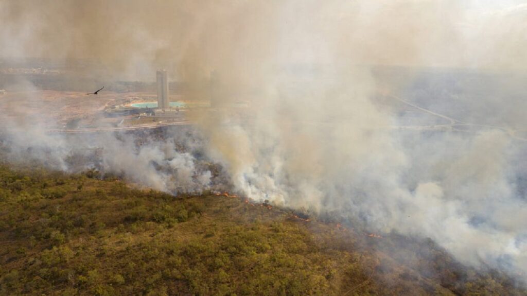 Deforestación en Amazonía brasileña se redujo 66.11%