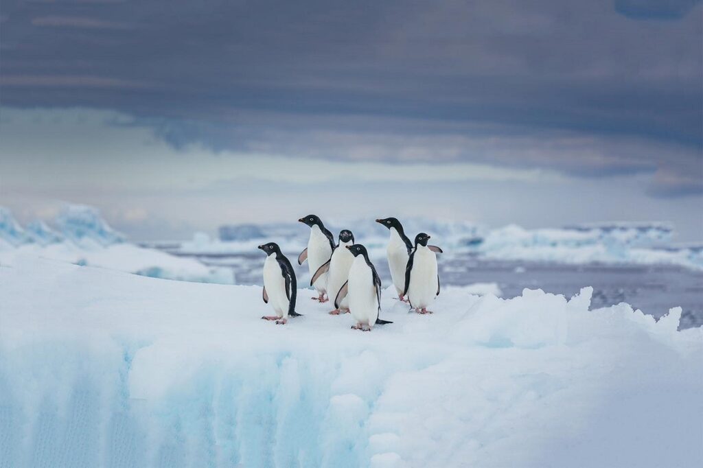 Prevén desaparición de glaciares Patrimonio de la Humanidad para 2050