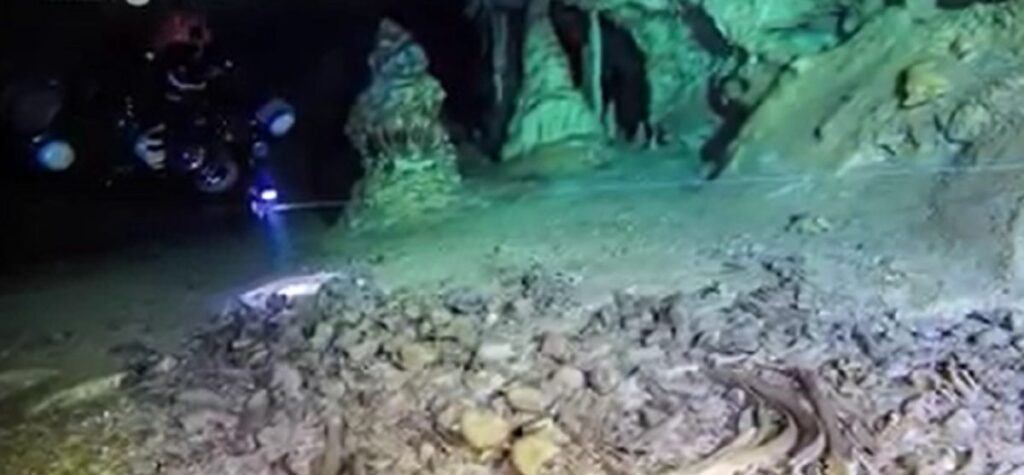 Denuncian ambientalistas primera afectación del Tren Maya en Tulum