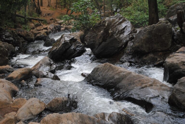 Preocupa alta contaminación en ríos de México