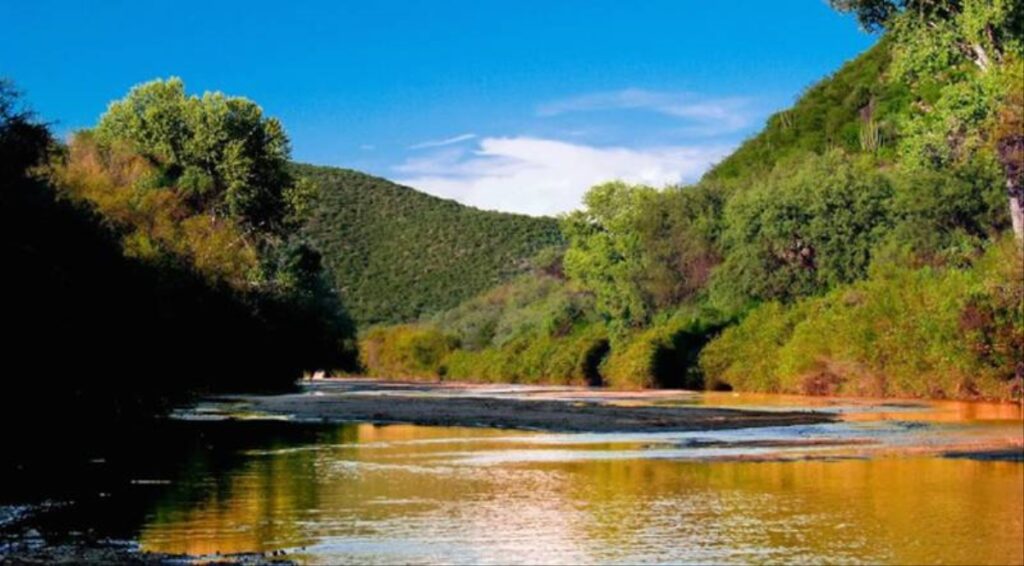 Grupo México descalifica reporte de Semarnat