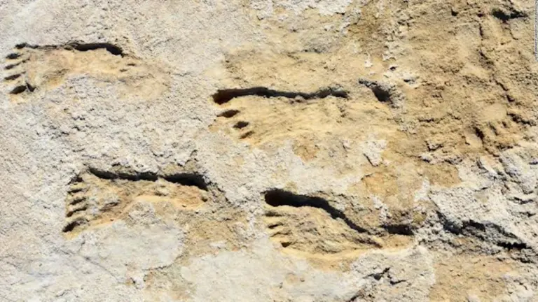 Humanos pisan Norteamérica miles de años antes de lo esperado