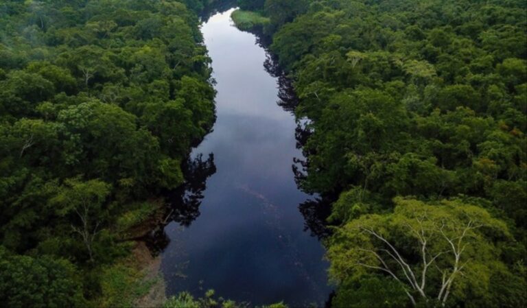 México acumula 203 Áreas Naturales Protegidas