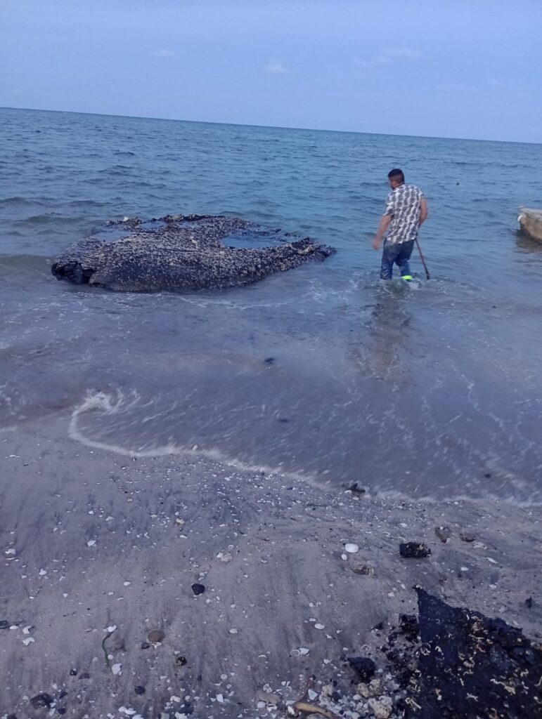 Denuncian pescadores fuga de chapopote en costas veracruzanas