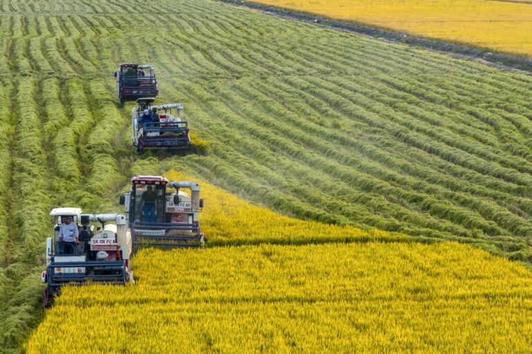 Las políticas agrícolas no están a la altura del desafío climático, según la OCDE