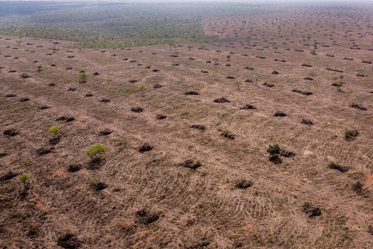 Carrera por salvar la Amazonía deja de lado al Cerrado, la crucial sabana brasileña