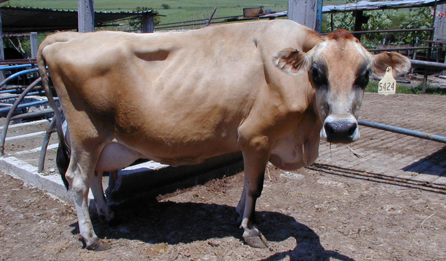 La atención al tema del cambio climático es impostergable, según titular de la Sader