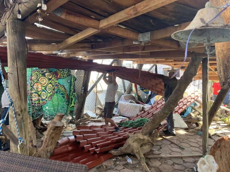 Otis destruye refugio tortugario más antiguo de Acapulco