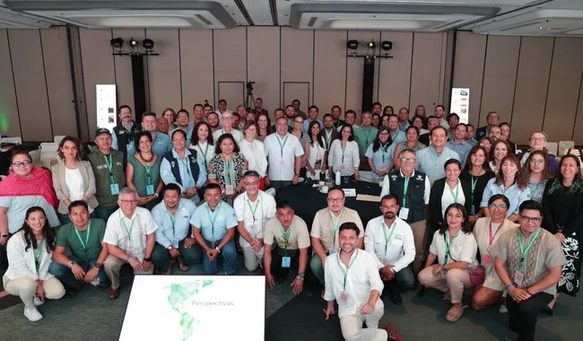 Buscan México, Guatemala y Belice protección de la Selva Maya