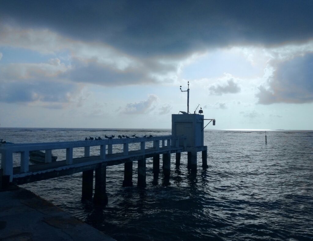 UNAM recupera sensores y revela datos interesantes sobre Otis