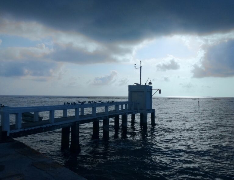 UNAM recupera sensores y revela datos interesantes sobre Otis