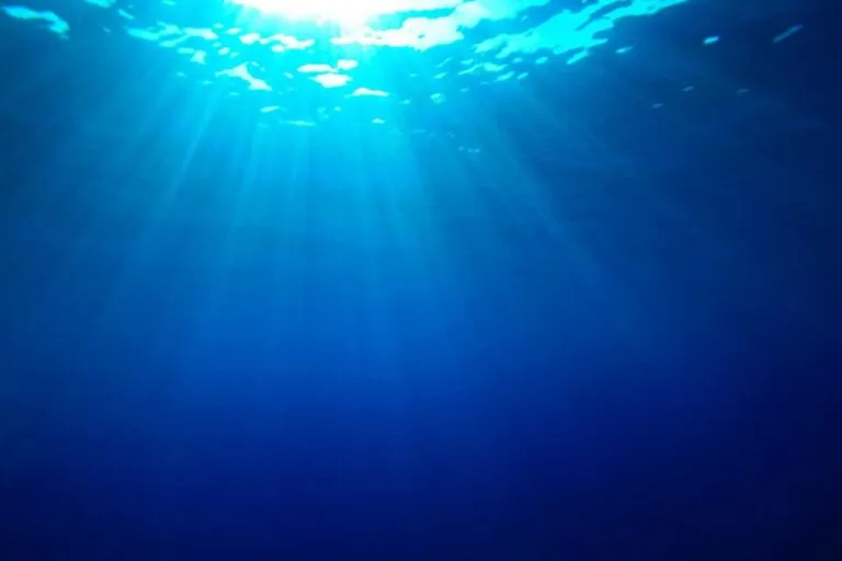 El cambio climático le da un nuevo color al océano