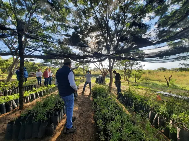 Diageo invierte en preservación del agua en México