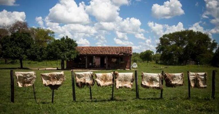 Pasubio dejará de comprar cuero a quienes deforesten tierras ayoreas