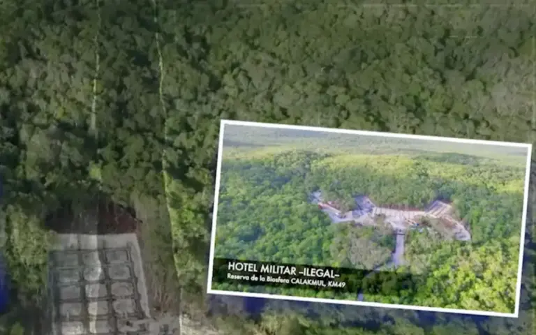 Sedena arrasó la selva para construir 6 hoteles del Tren Maya