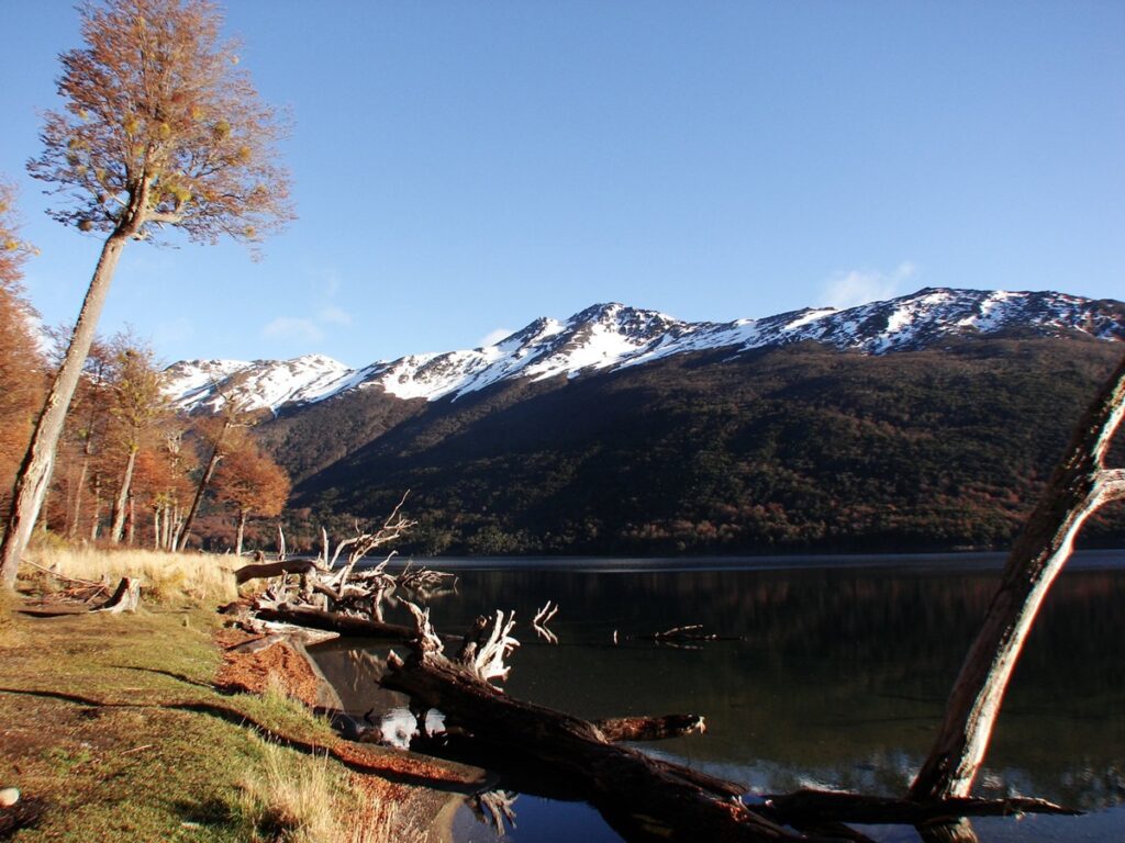 Ley Ómnibus de Argentina plantea cambios para el cuidado ambiental