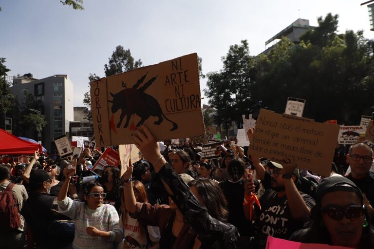 Activistas buscan nuevo amparo para detener las corridas de toros
