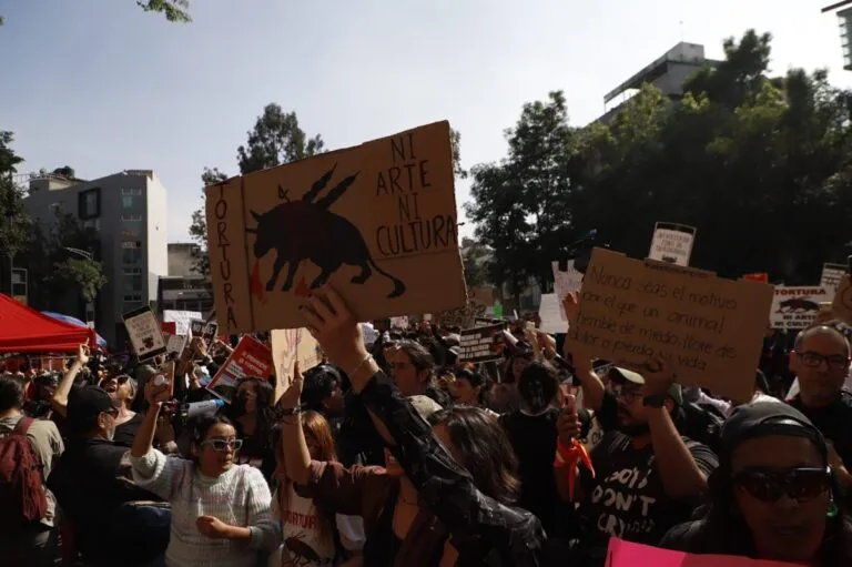 Activistas buscan nuevo amparo para detener las corridas de toros