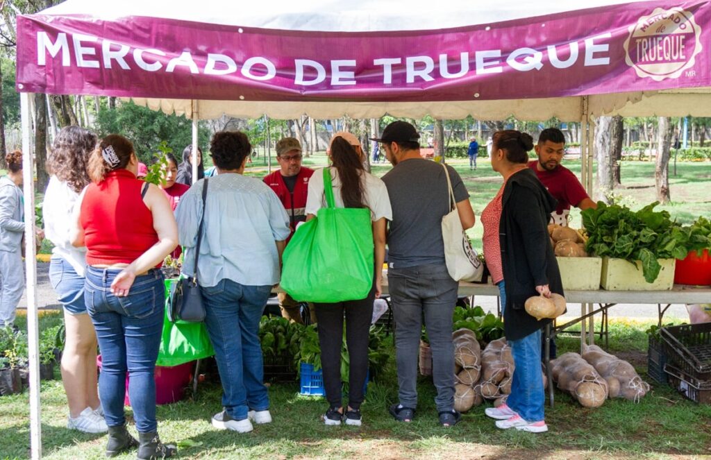 Recibirá árboles de Navidad en Mercado de Trueque