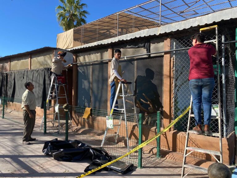 Resguardan a animales de zoológico ante bajas temperaturas