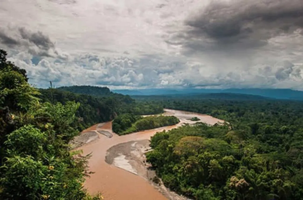 Cambio climático, principal impulsor de la sequía excepcional en el Amazonas