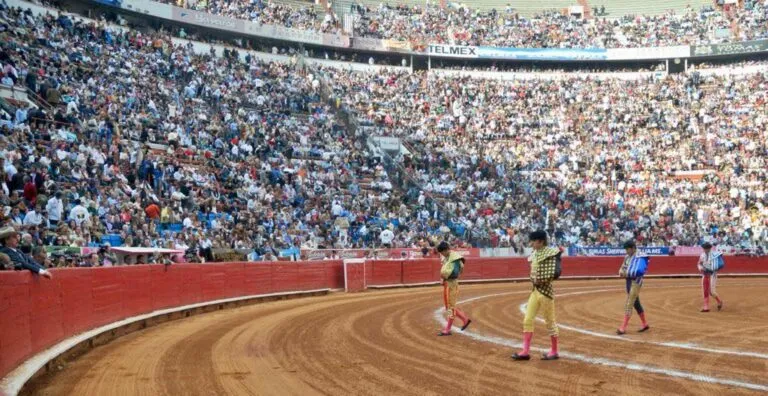 Ordena jueza suspensión de corridas de toros en la Plaza México