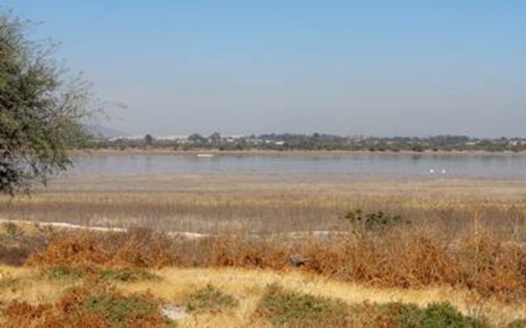 Presas del país también tiene condiciones críticas por falta de lluvias